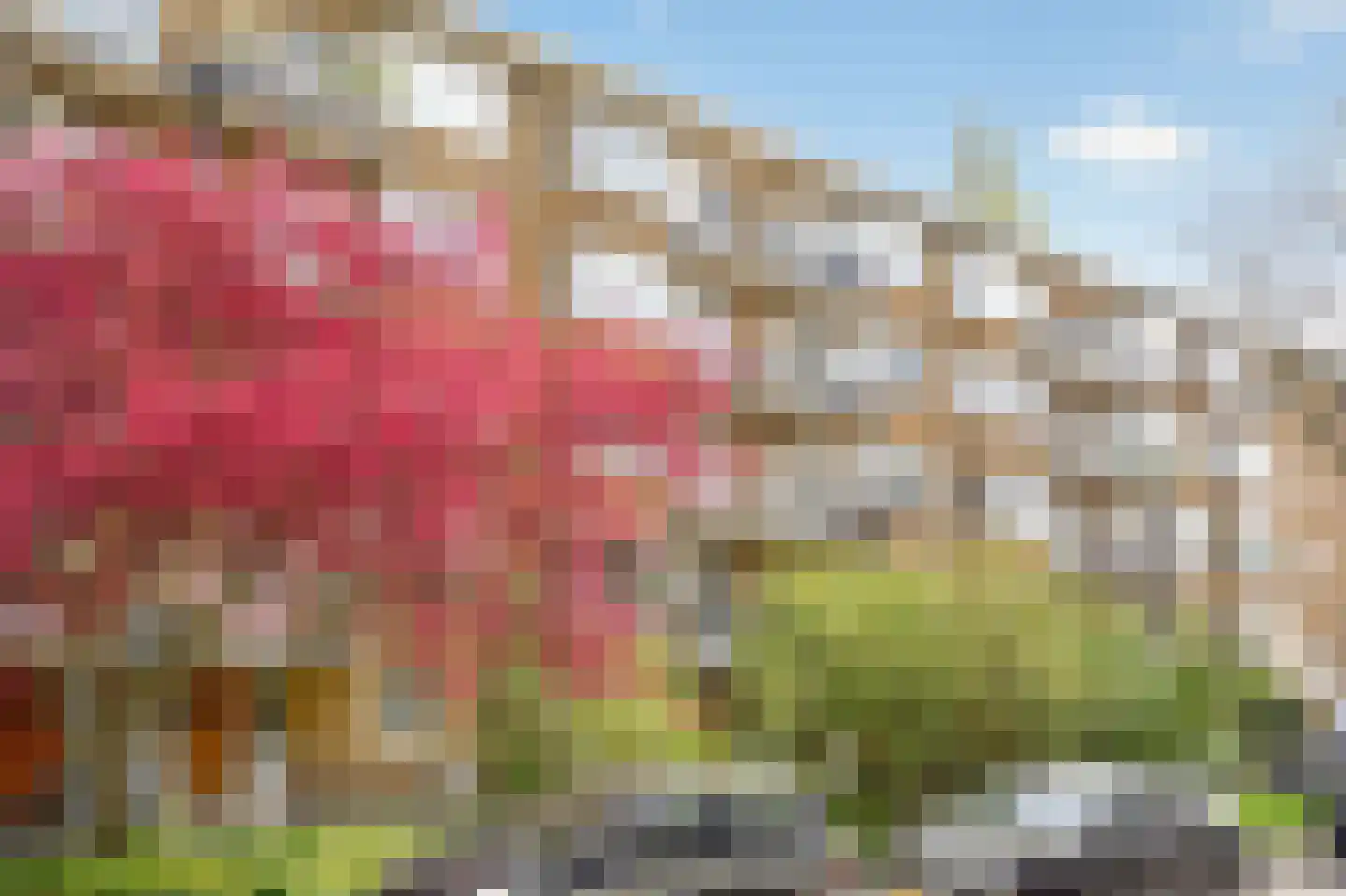 Griseldestraat 12 3 Amsterdam thumbnail 34
