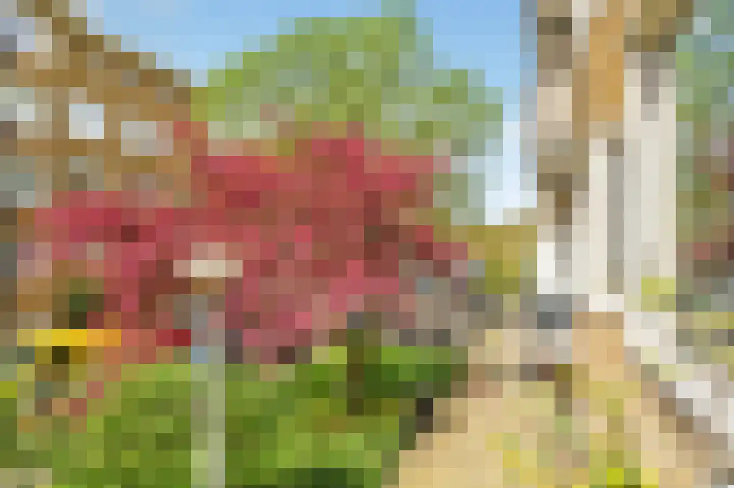 Griseldestraat 12 3 Amsterdam thumbnail 36