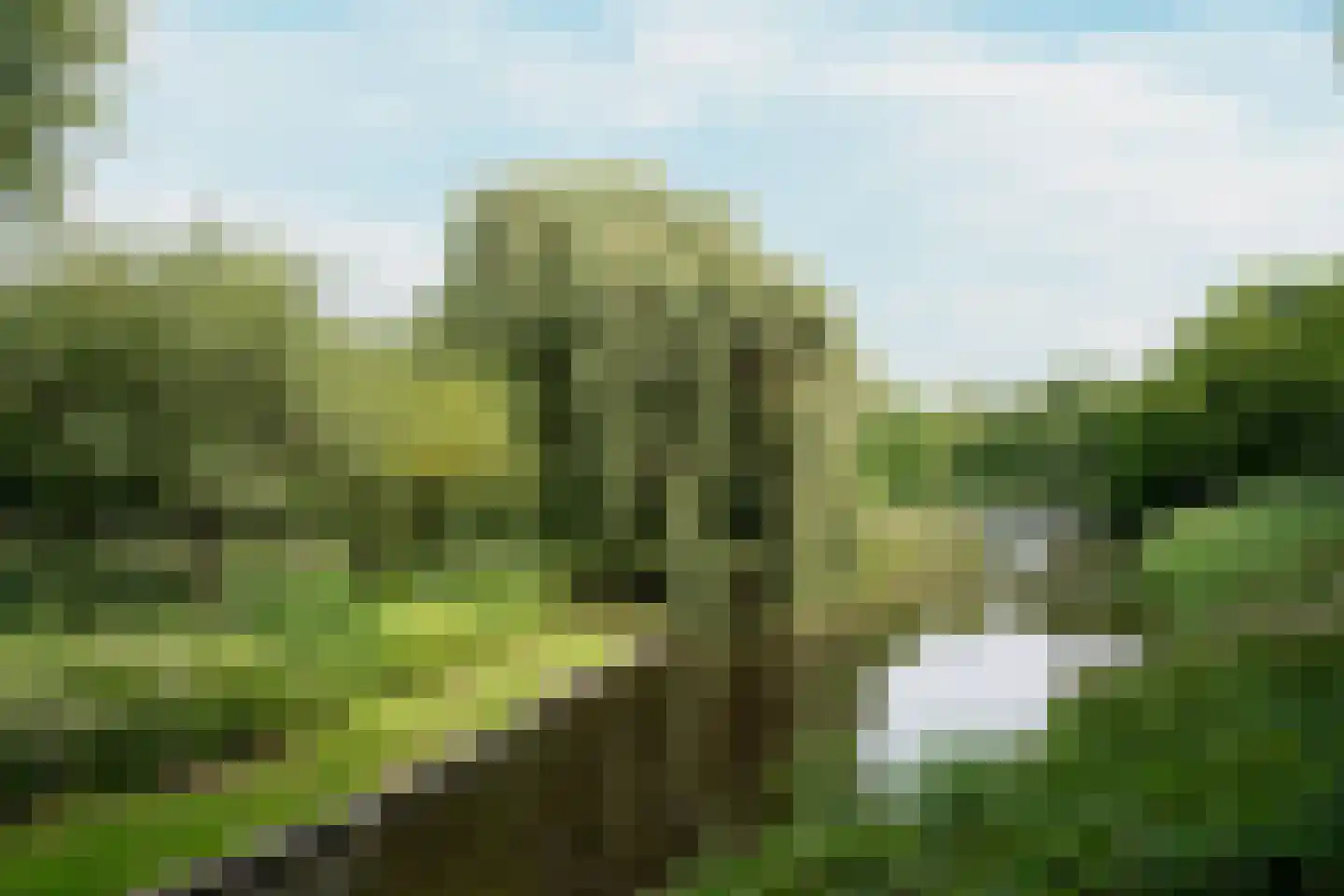 Griseldestraat 12 3 Amsterdam thumbnail 39