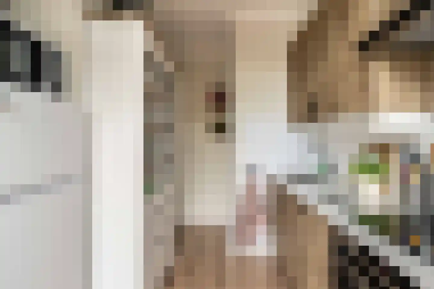 Griseldestraat 22 2 Amsterdam thumbnail 15
