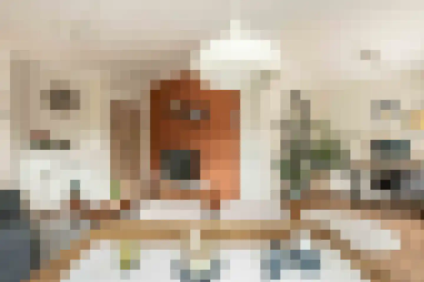 Griseldestraat 22 2 Amsterdam thumbnail 5
