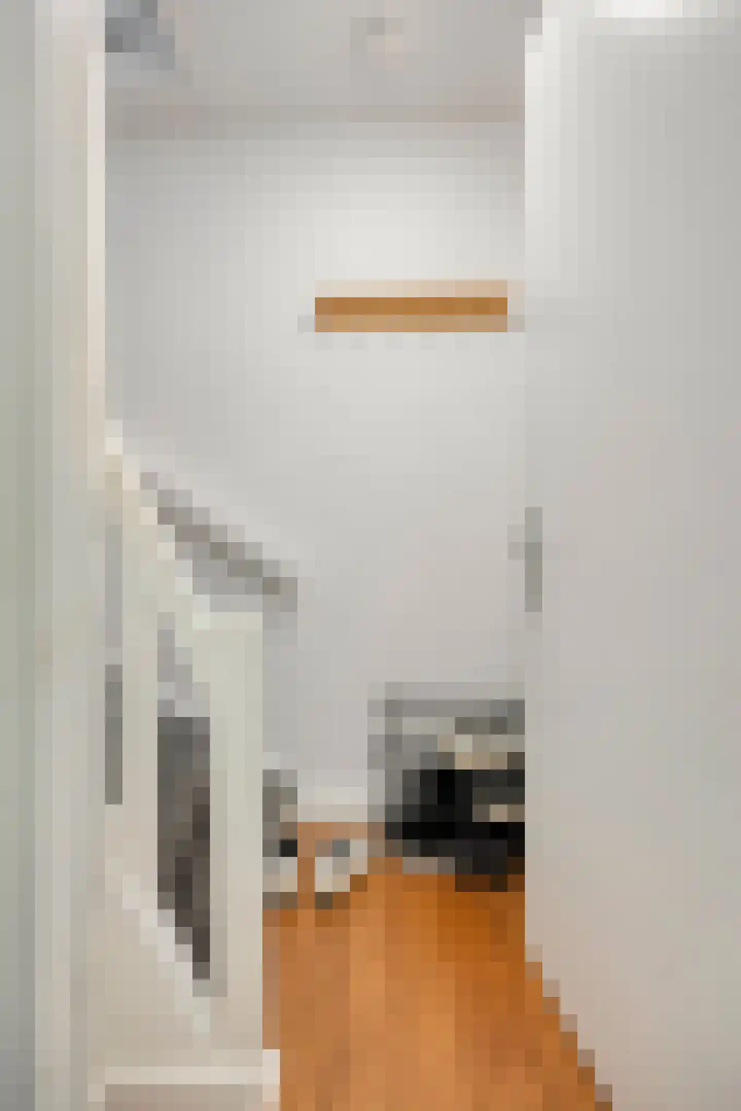 Griseldestraat 30 3 Amsterdam thumbnail 23