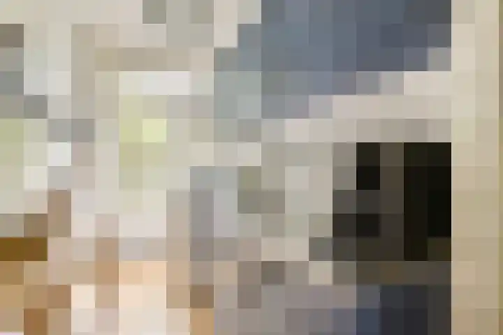 Griseldestraat 34 1 Amsterdam thumbnail 12