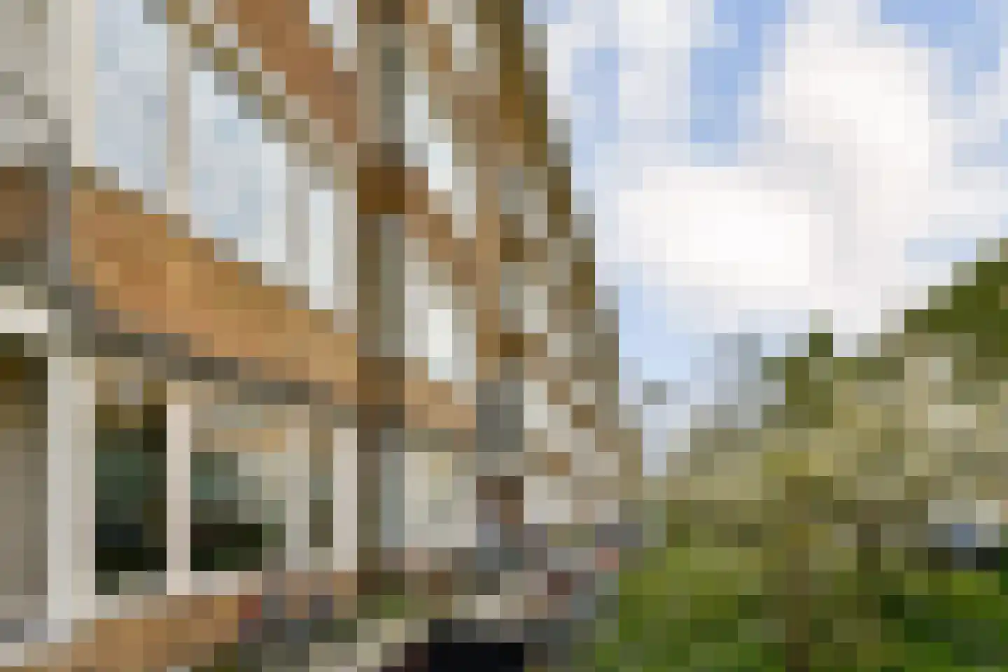 Griseldestraat 36 H Amsterdam thumbnail 29