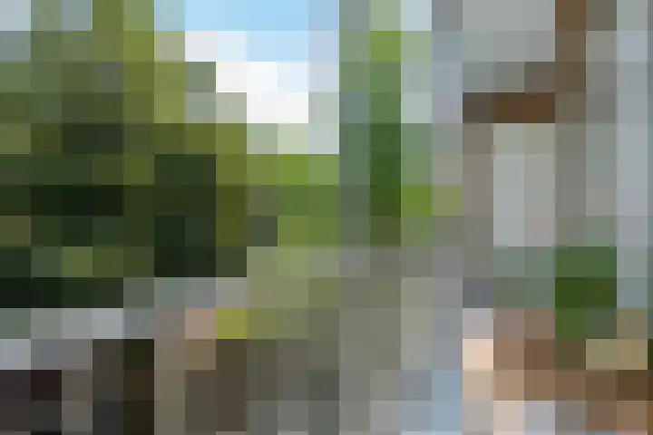 Griseldestraat 40 2 Amsterdam thumbnail 12