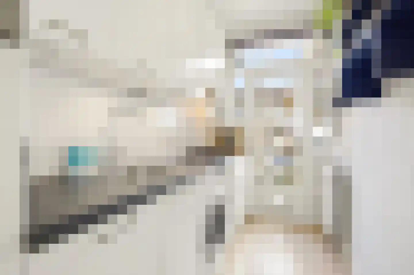 Griseldestraat 45 2 Amsterdam thumbnail 13
