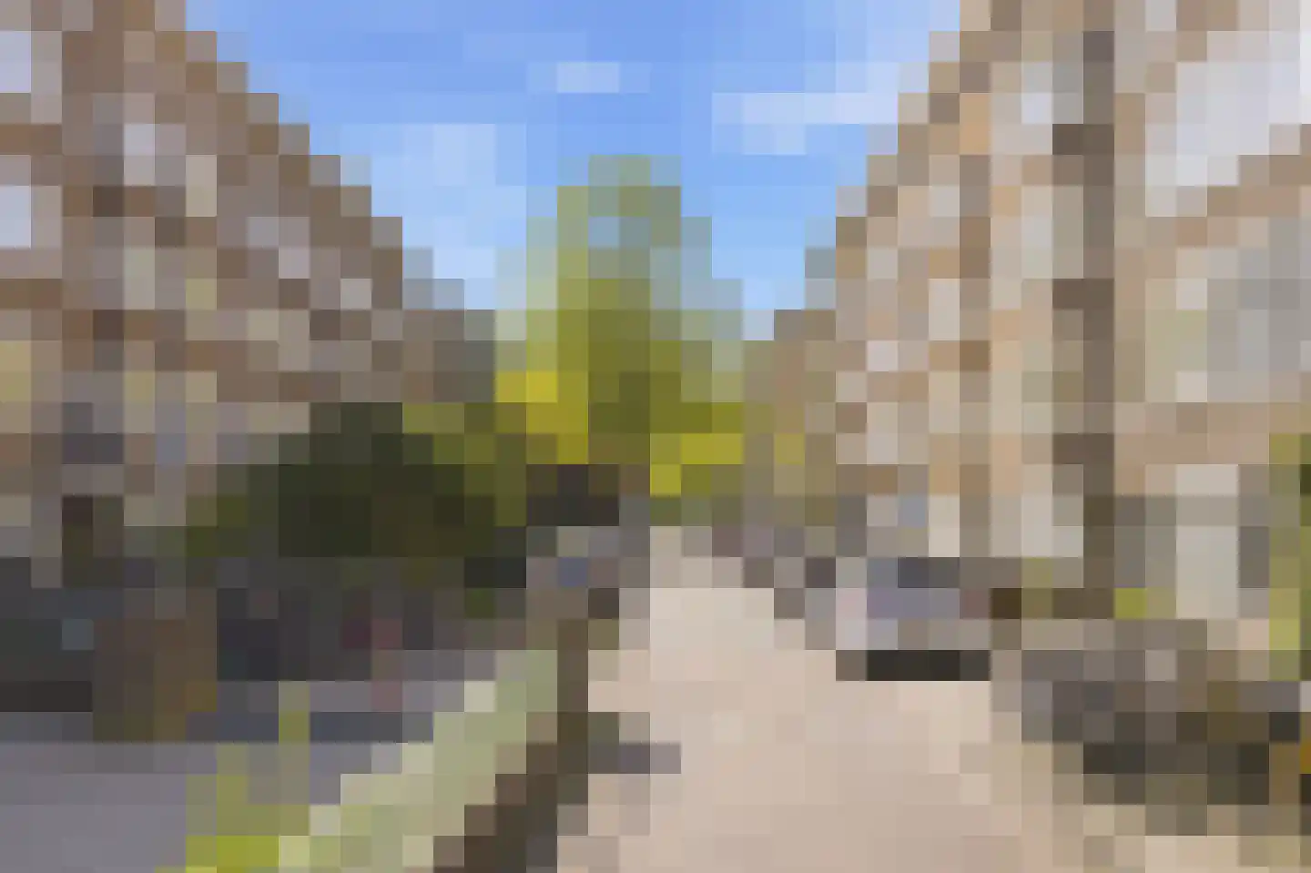 Griseldestraat 45 2 Amsterdam thumbnail 27