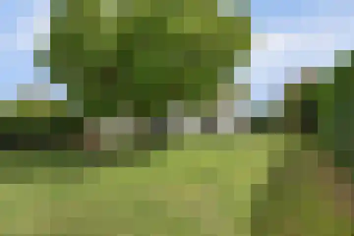 Grispenstraat 33 Voerendaal thumbnail 4