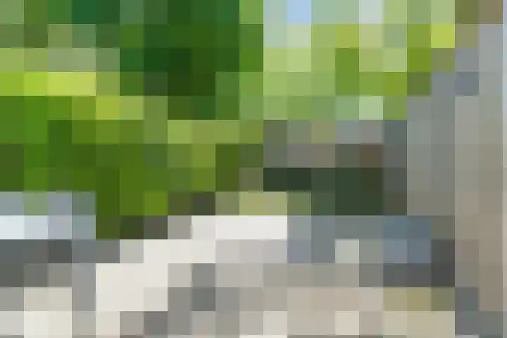Grobbendonckpark 18 Goirle thumbnail 23
