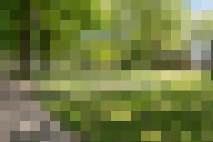 Grobbendonckpark 18 Goirle thumbnail 33