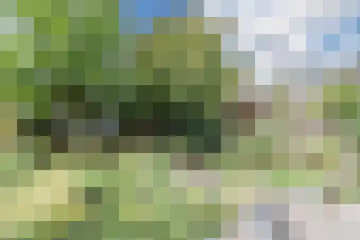 Grobbendonckpark 7 Goirle thumbnail 23