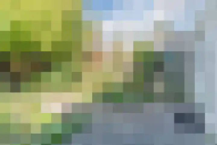 Grobbendonckpark 7 Goirle thumbnail 25