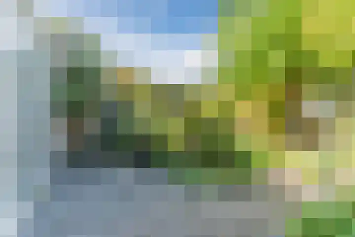 Grobbendonckpark 7 Goirle thumbnail 26