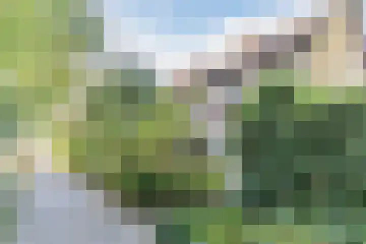 Grobbendonckpark 7 Goirle thumbnail 29