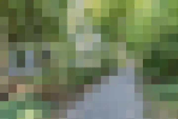 Grobbendonckpark 7 Goirle thumbnail 31