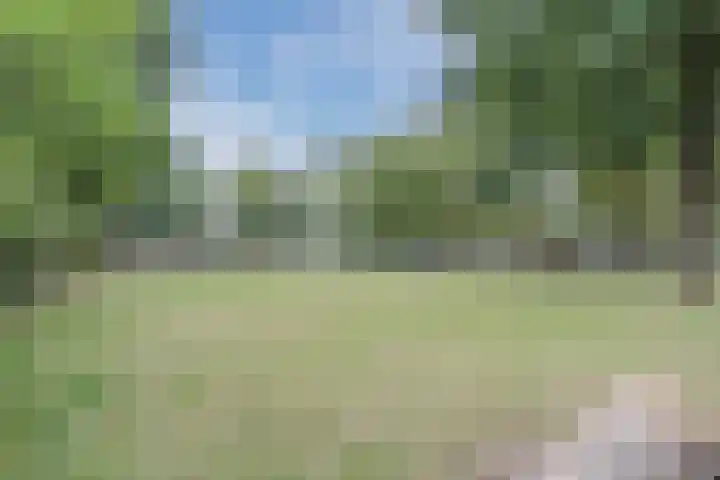 Grobbendonckpark 7 Goirle thumbnail 32