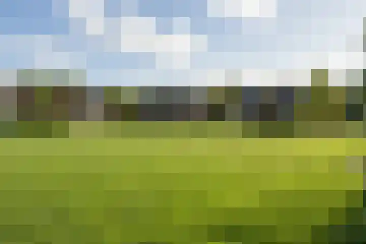 Grobbenhof 17 Westervoort thumbnail 39