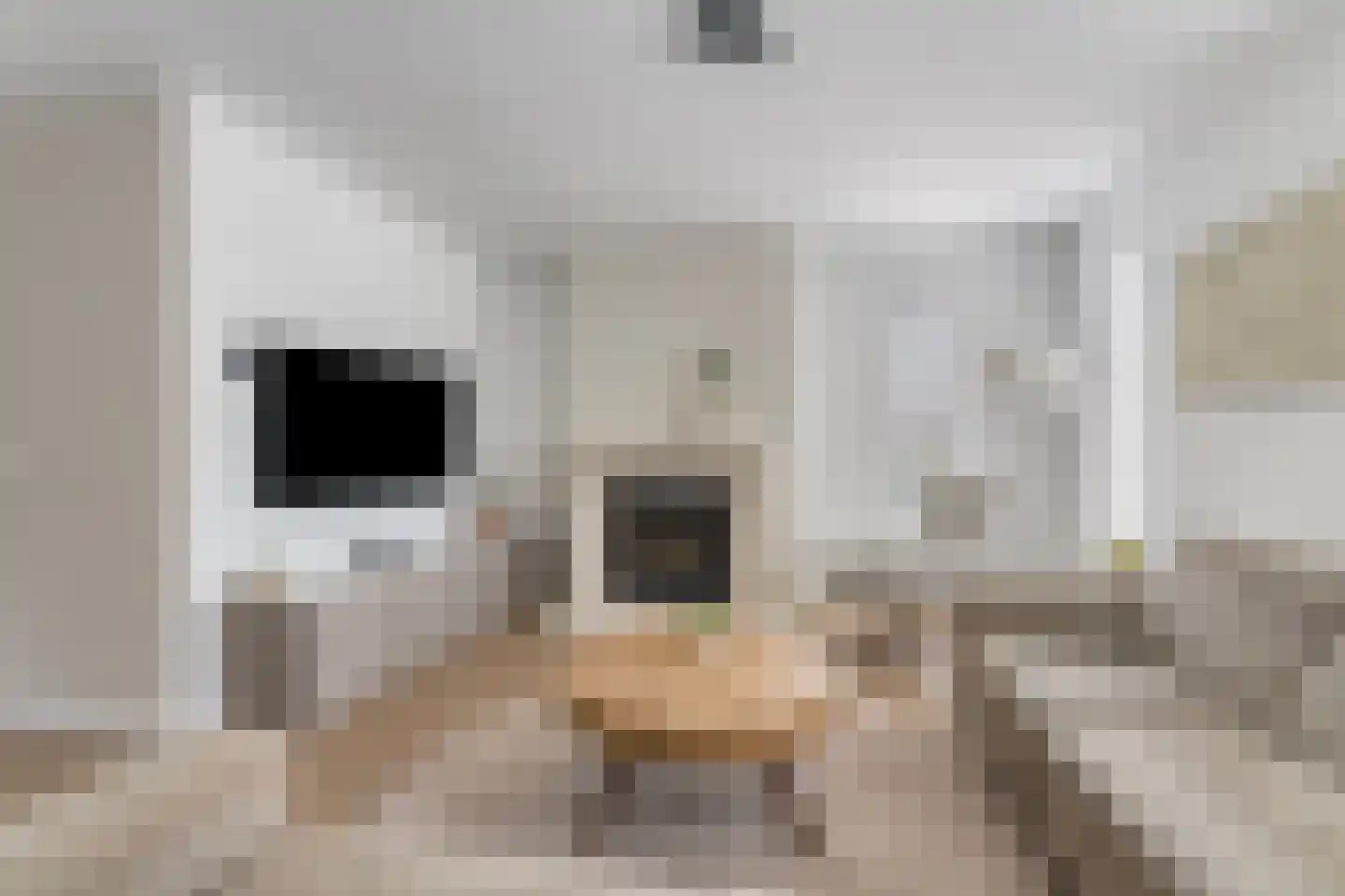 Grobbestede 23 Pannerden thumbnail 12