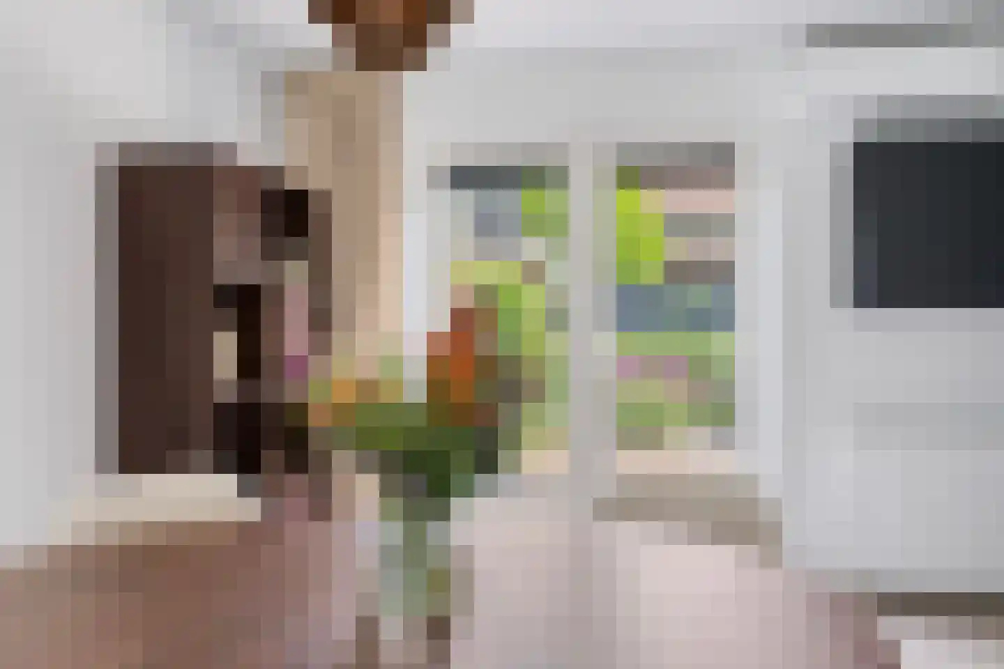 Grobbestede 23 Pannerden thumbnail 16
