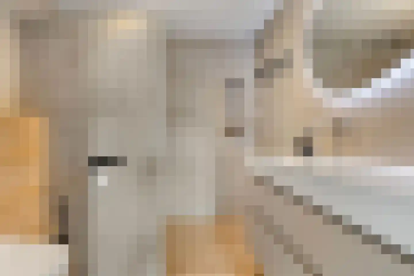 Grobbestede 23 Pannerden thumbnail 31