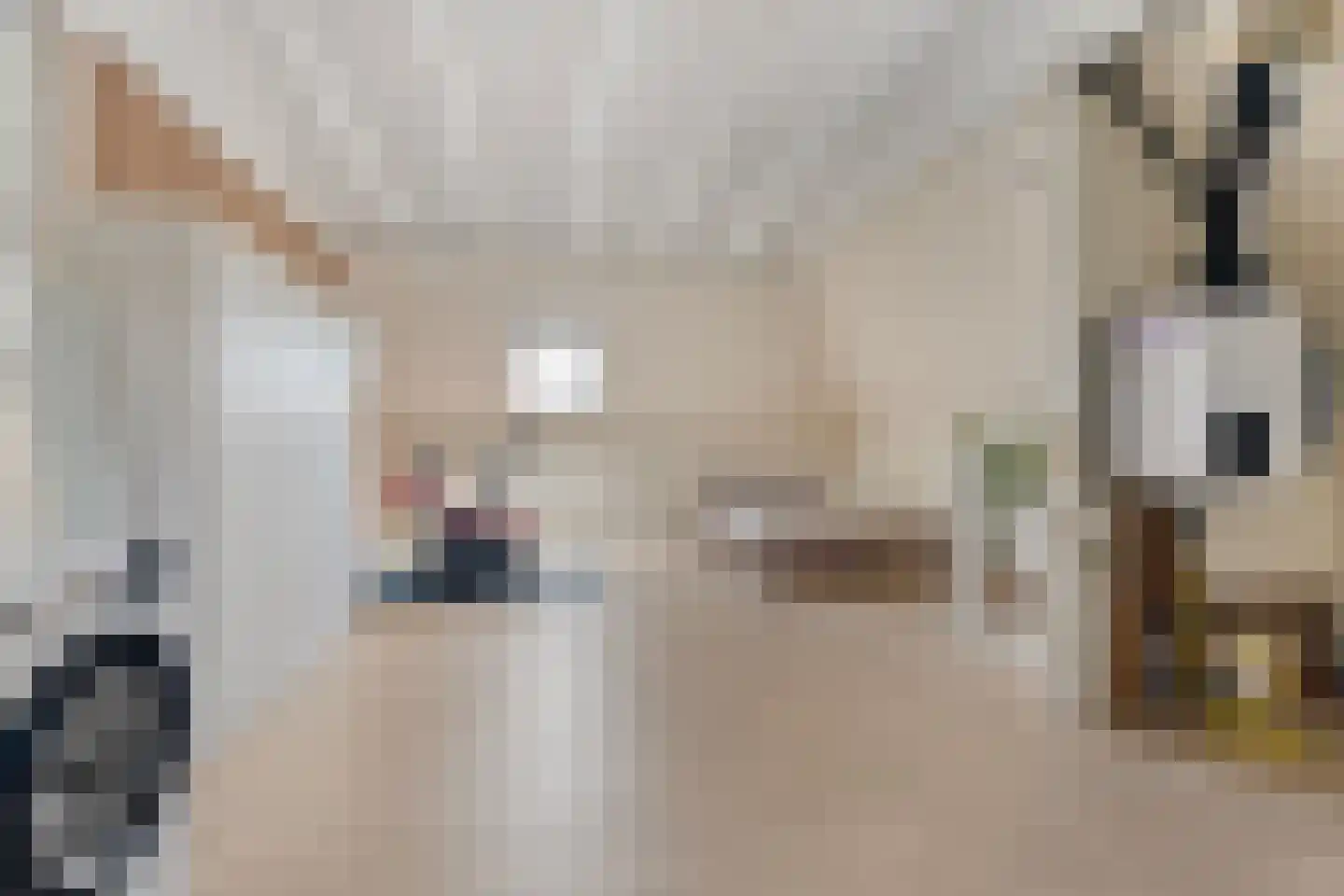 Grobbestede 23 Pannerden thumbnail 36