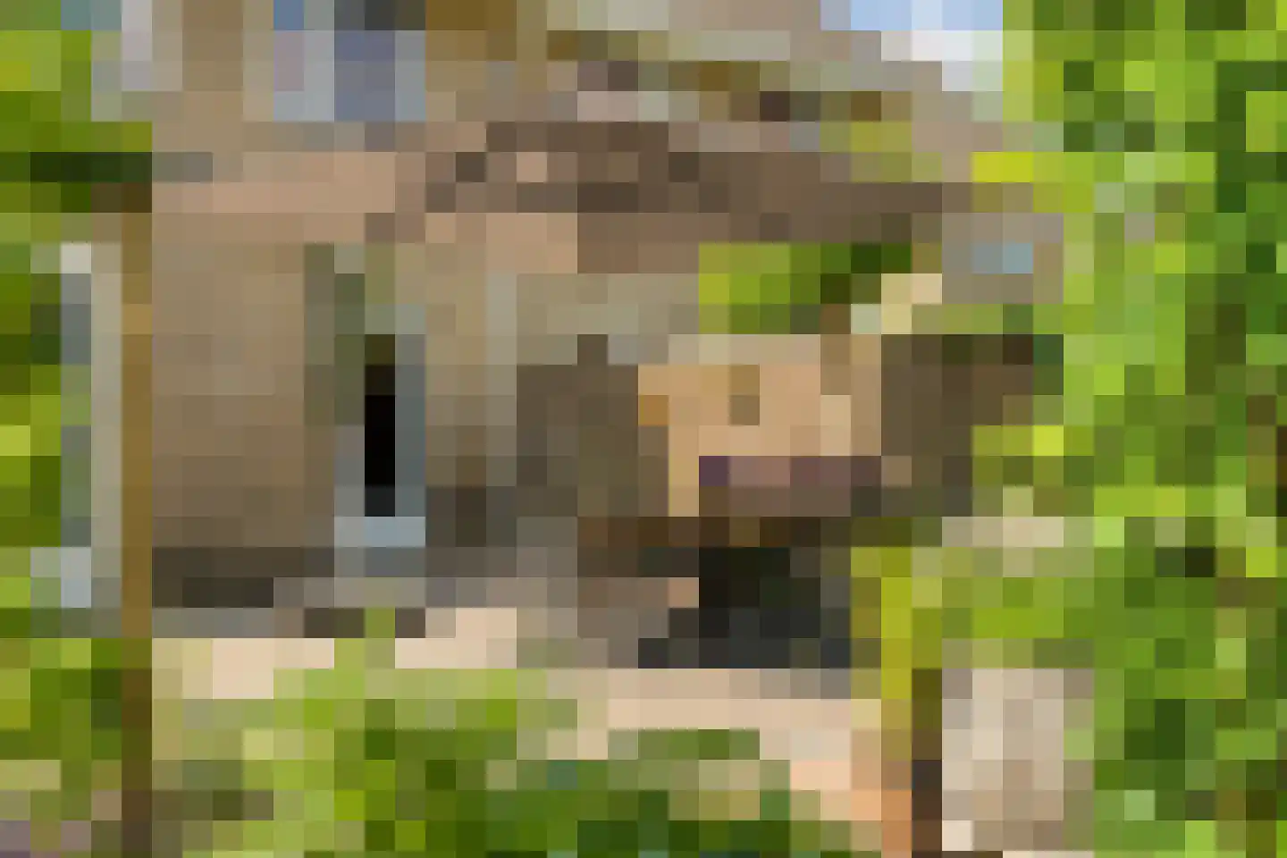 Grobbestede 23 Pannerden thumbnail 41