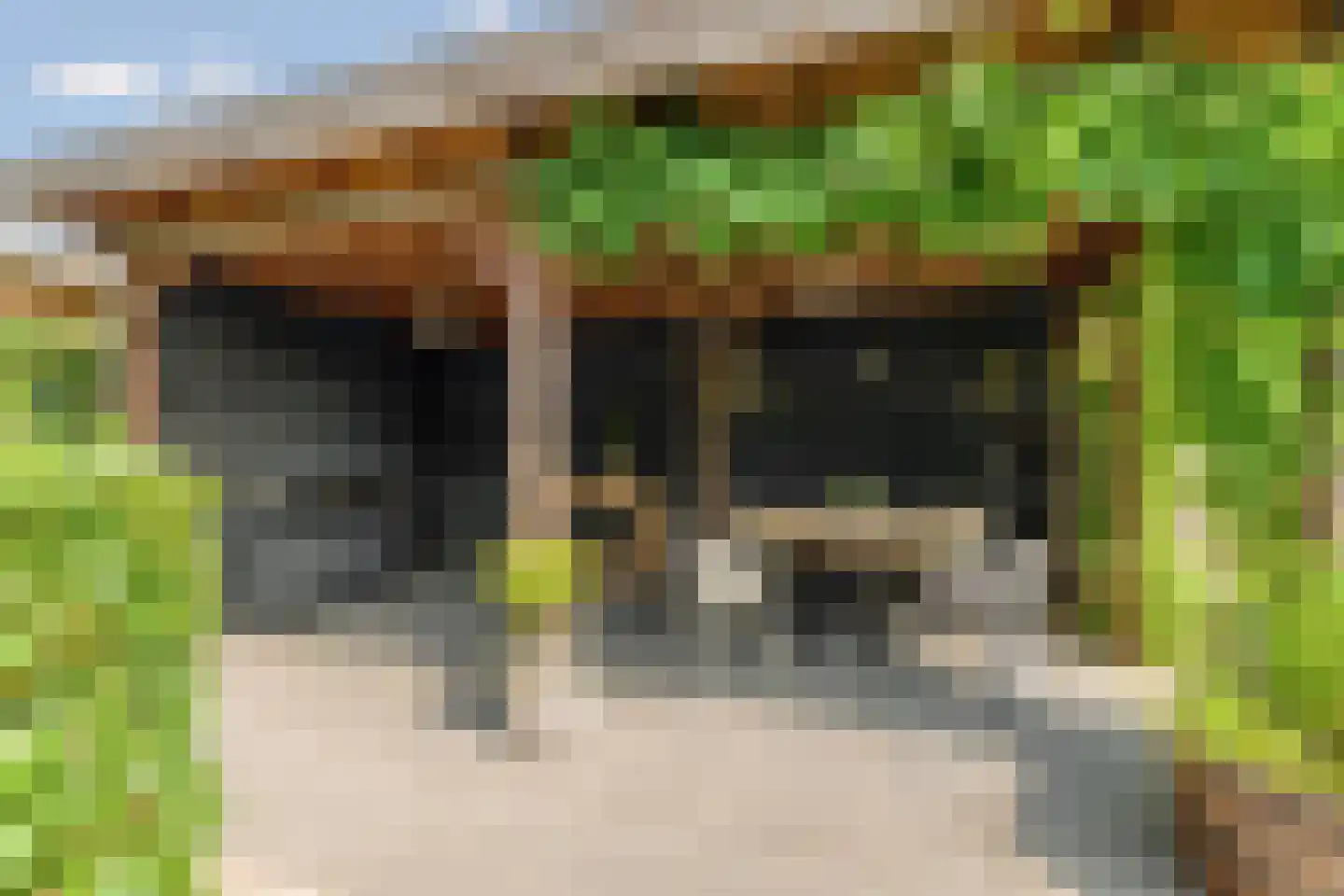 Grobbestede 23 Pannerden thumbnail 44