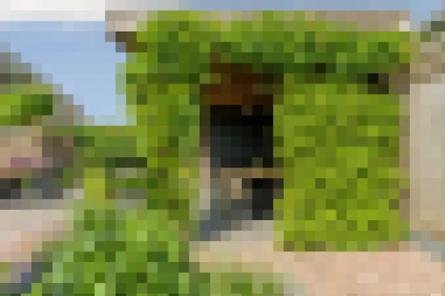 Grobbestede 23 Pannerden thumbnail 45