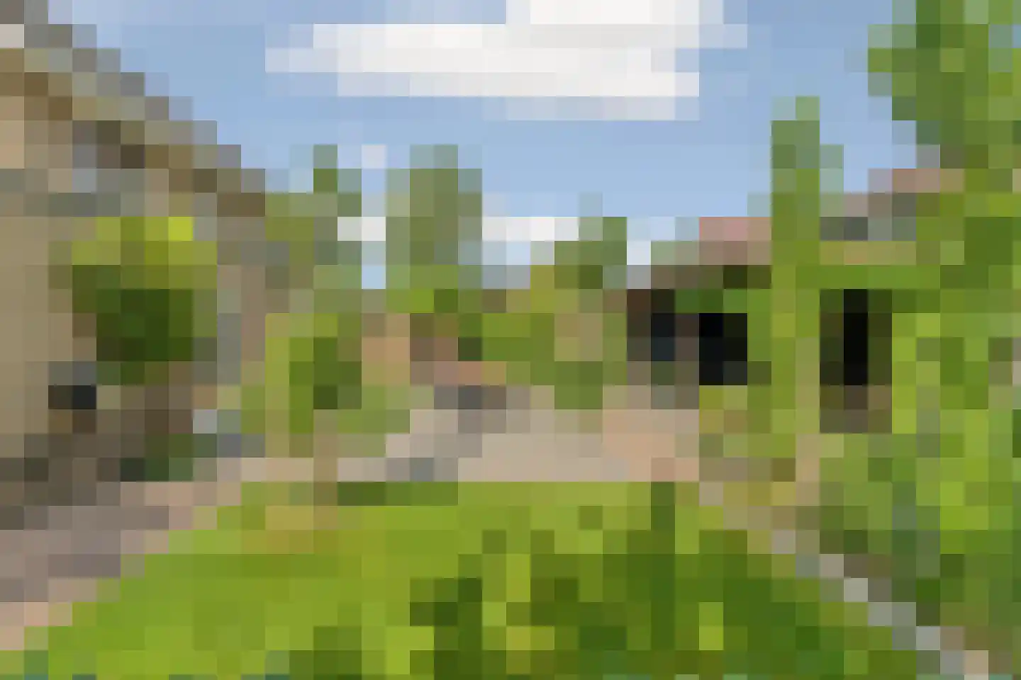 Grobbestede 23 Pannerden thumbnail 46