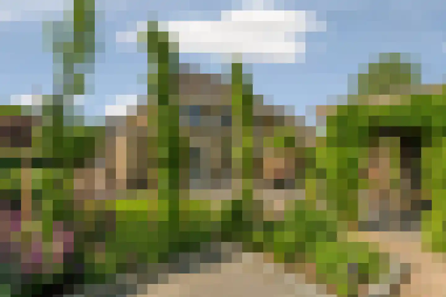 Grobbestede 23 Pannerden thumbnail 48