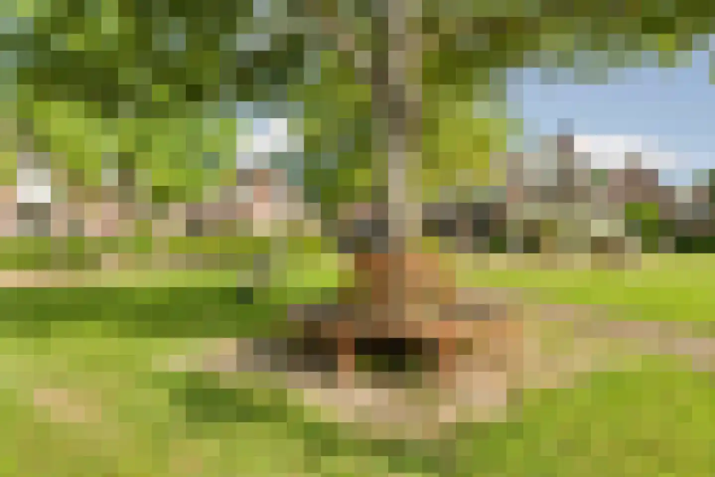 Grobbestede 23 Pannerden thumbnail 59
