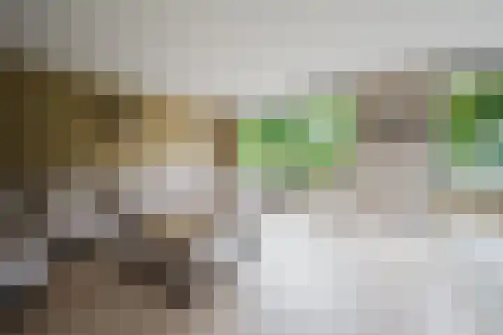 Groede 24 Hekelingen thumbnail 13