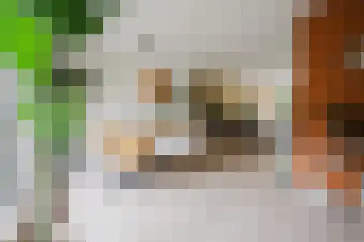Groede 24 Hekelingen thumbnail 15