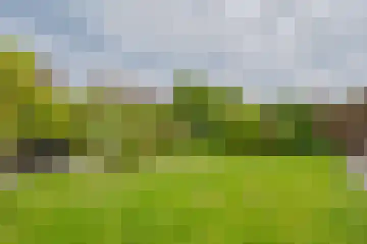 Groede 24 Hekelingen thumbnail 19