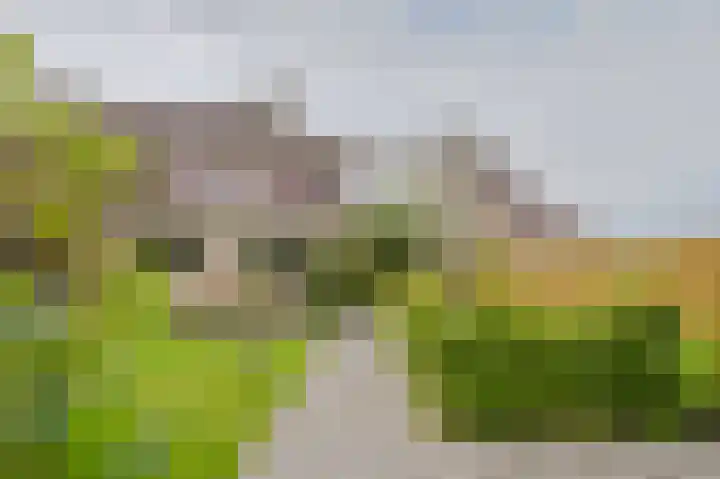 Groede 24 Hekelingen thumbnail 20