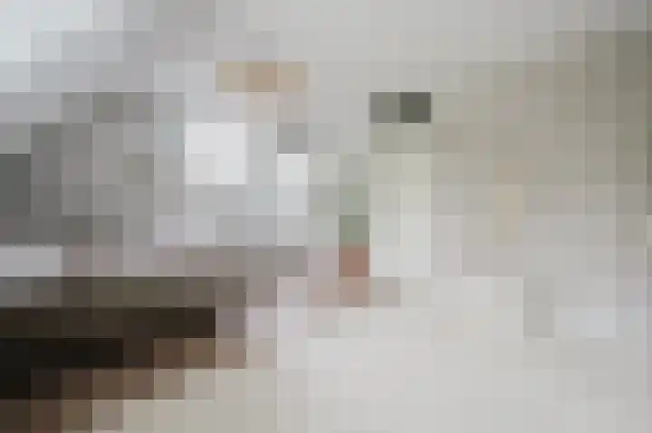 Groede 24 Hekelingen thumbnail 25