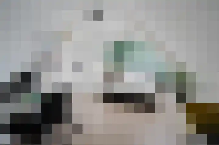 Groede 24 Hekelingen thumbnail 26