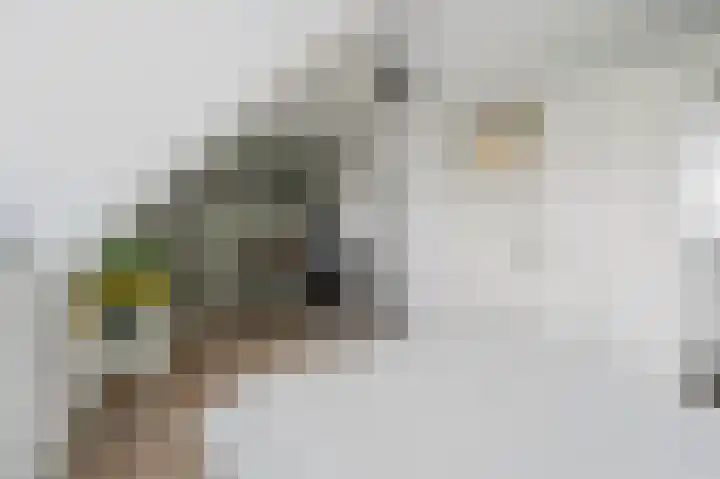 Groede 24 Hekelingen thumbnail 27