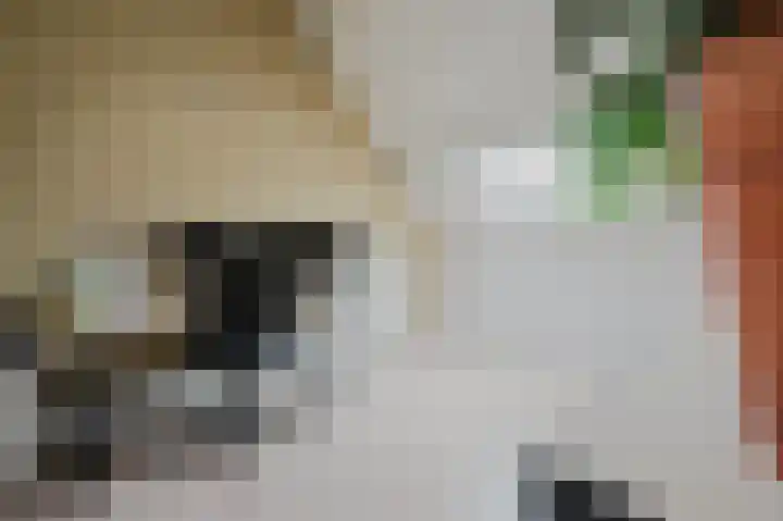 Groede 24 Hekelingen thumbnail 32