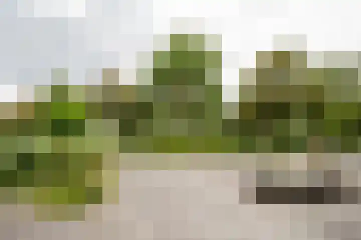 Groede 24 Hekelingen thumbnail 6