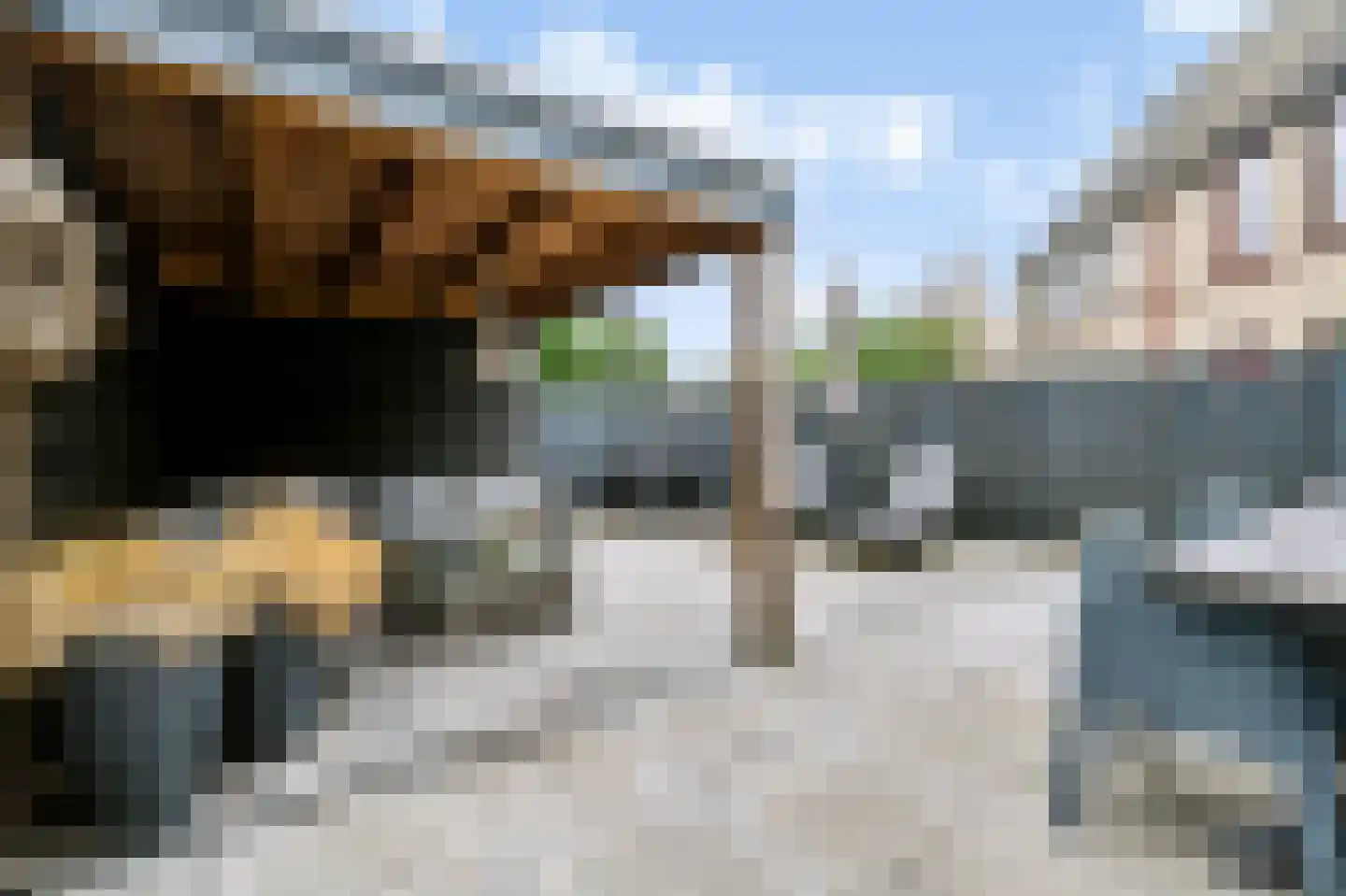 Groede 46 Hekelingen thumbnail 21