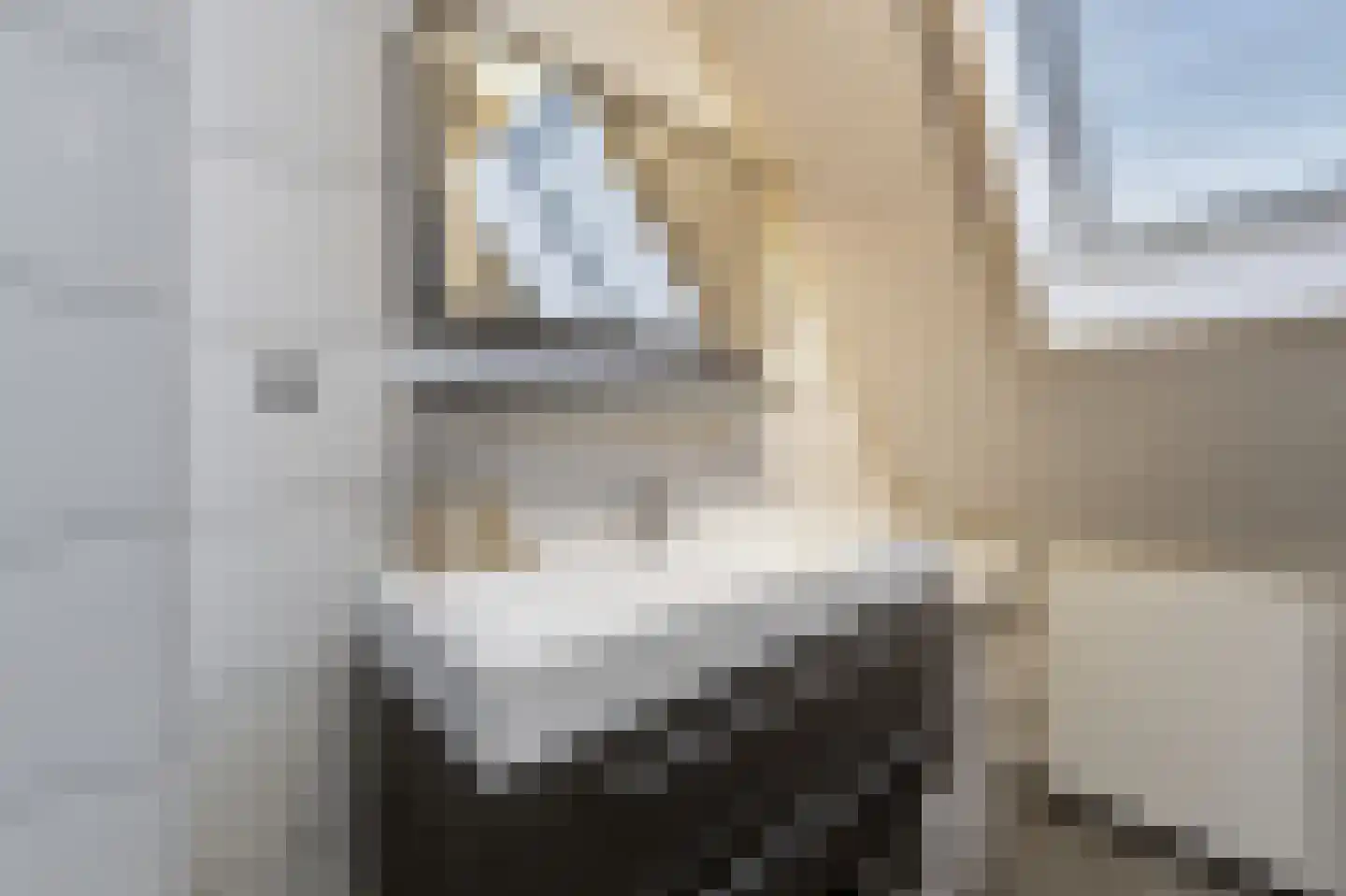 Groede 46 Hekelingen thumbnail 32