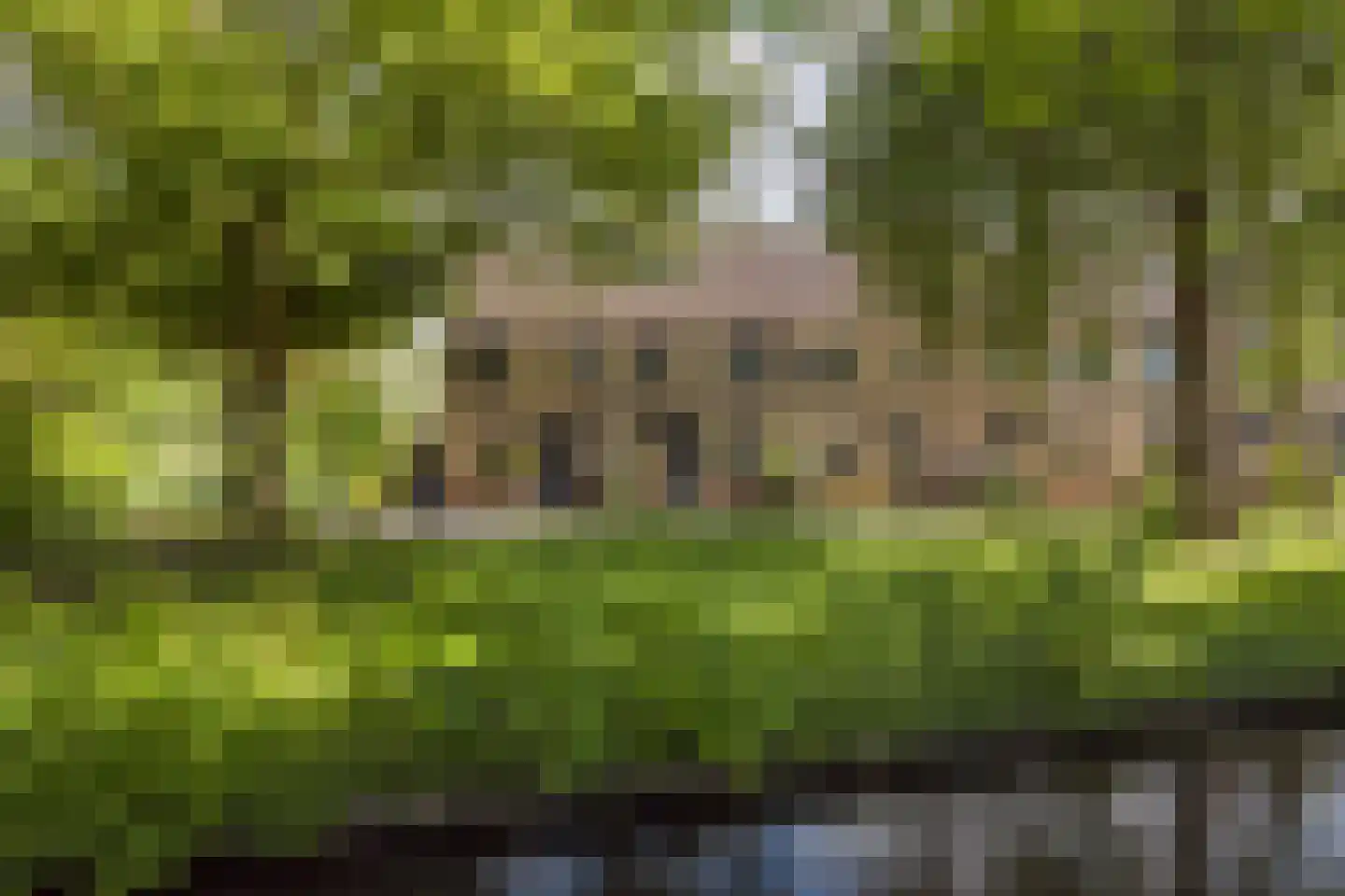 Groede 62 Hekelingen thumbnail 30