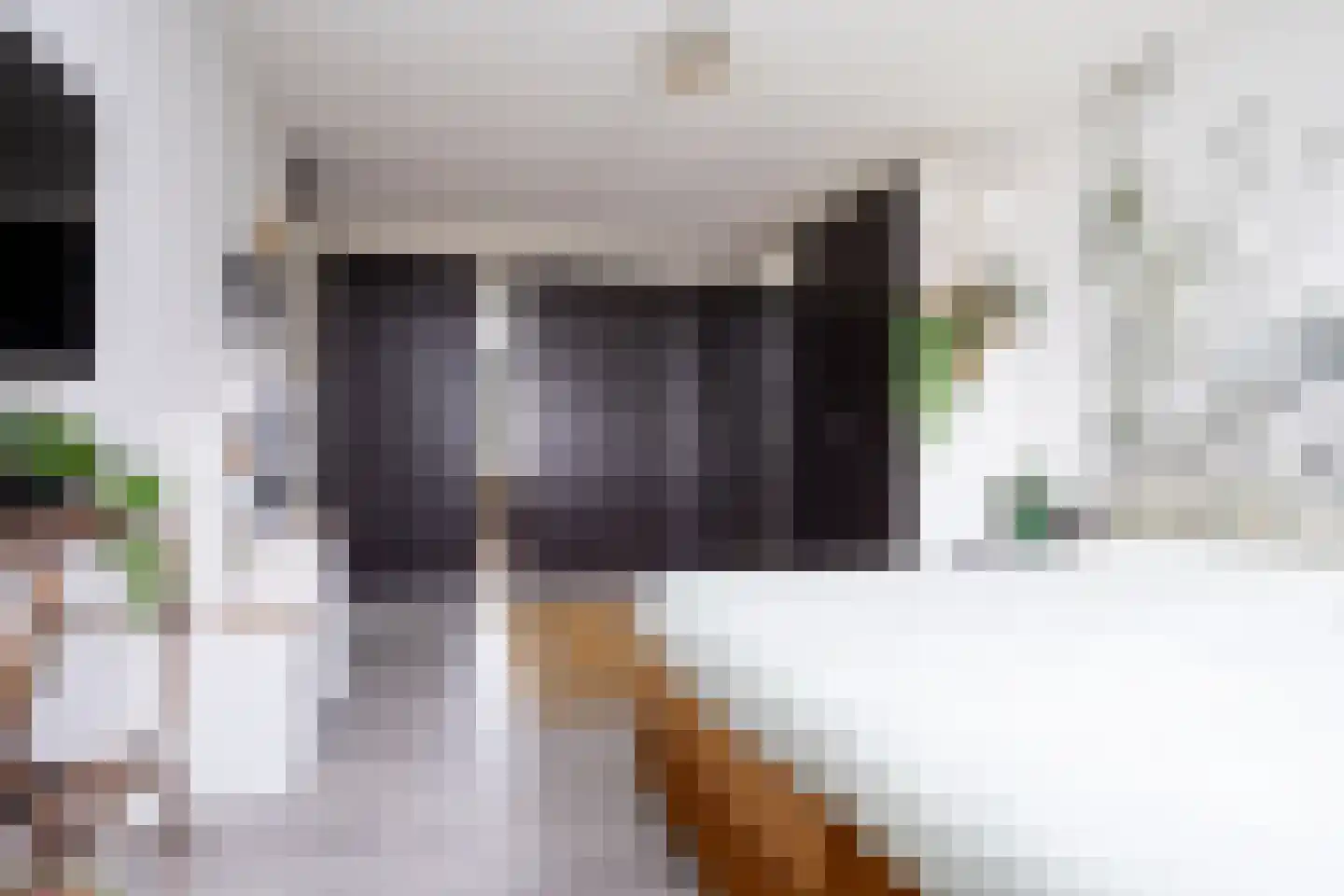 Groedestraat 37 Berkel en Rodenrijs thumbnail 31