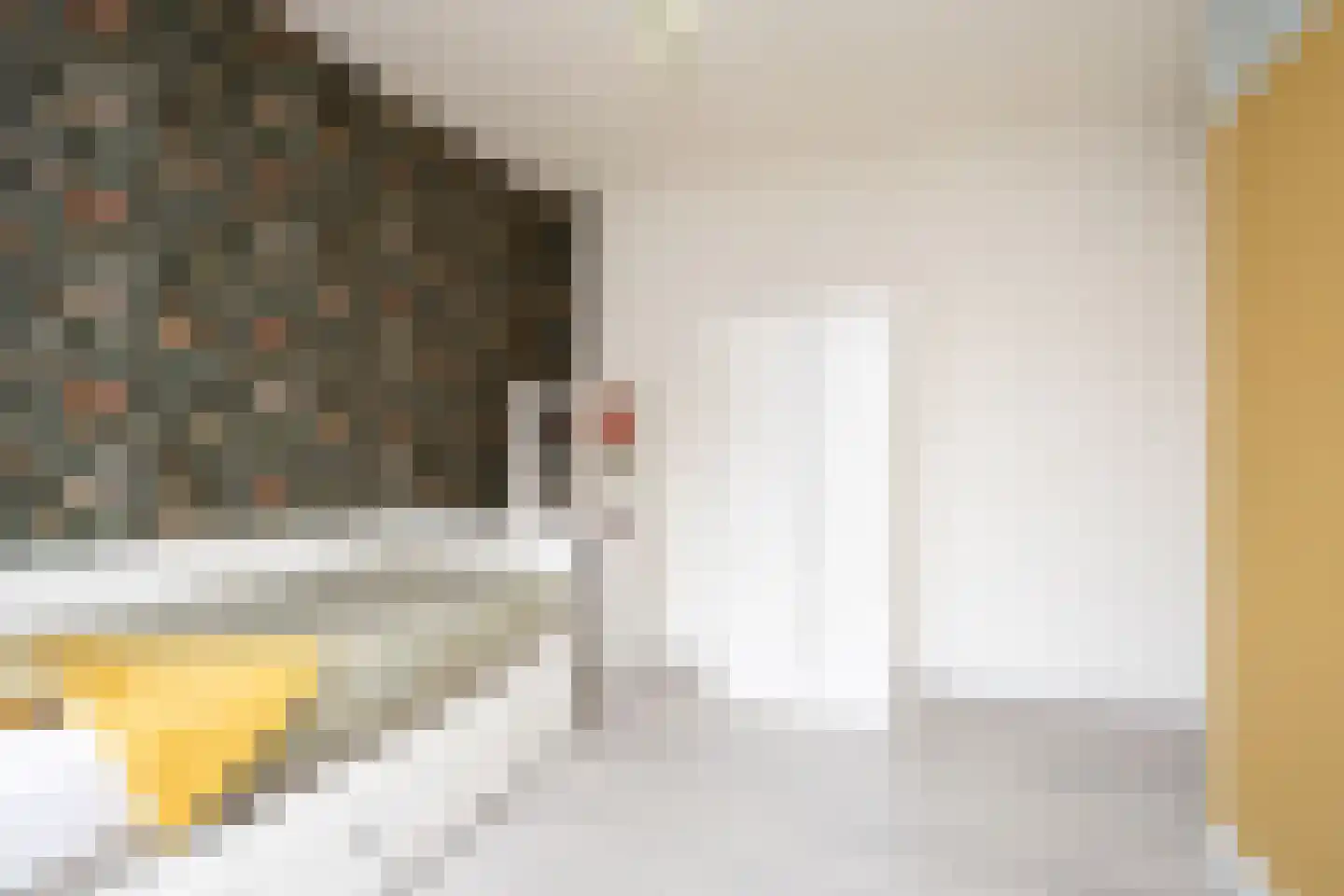 Groedestraat 37 Berkel en Rodenrijs thumbnail 33