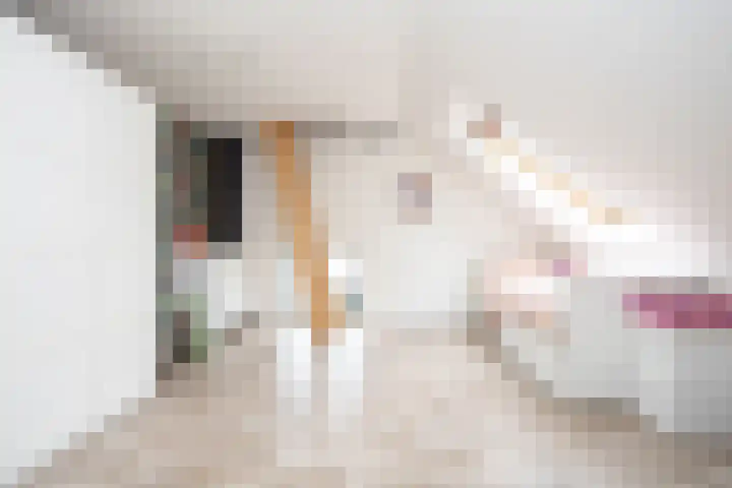 Groedestraat 37 Berkel en Rodenrijs thumbnail 47
