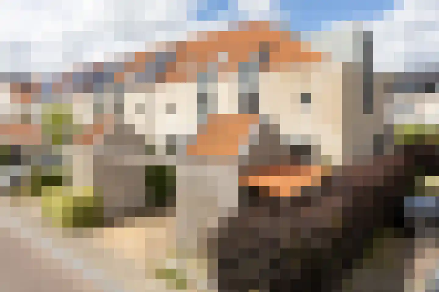 Groedestraat 37 Berkel en Rodenrijs thumbnail 6