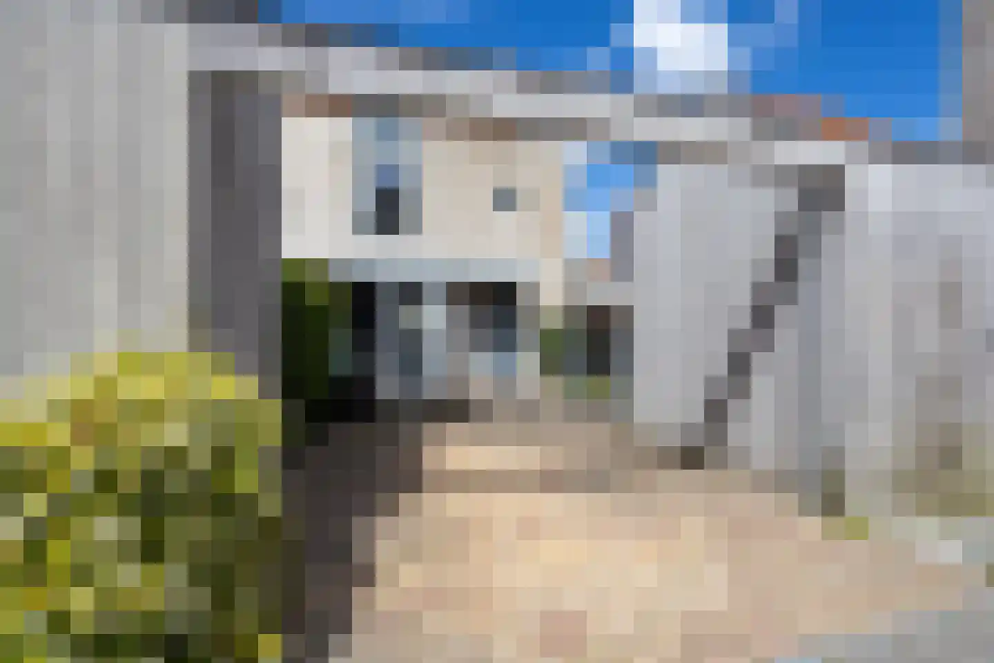 Groedestraat 37 Berkel en Rodenrijs thumbnail 7