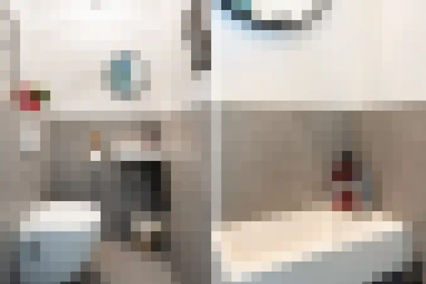 Groedestraat 67 Berkel en Rodenrijs thumbnail 10