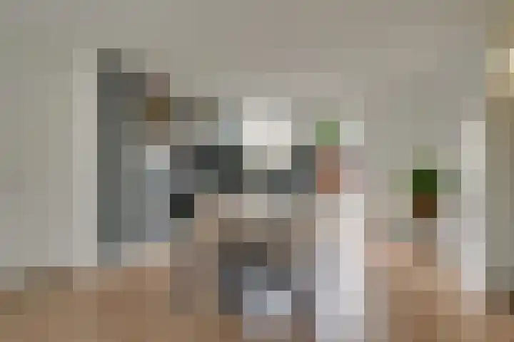 Groef 12 Hoorn thumbnail 11